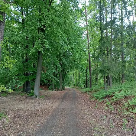 דירה Ami סטגנה